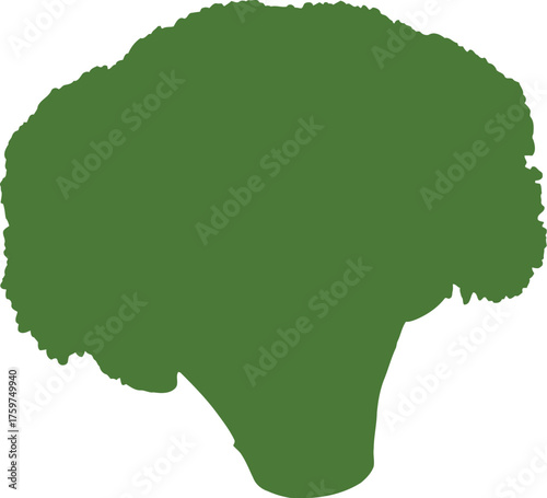 Green broccoli head isolated on black background detailed florets and stems vegetable food