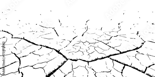 Cracked dry earth texture showing drought and arid landscape pattern. High-contrast black and white cracked soil background perfect for environmental, abstract, or texture design projects.