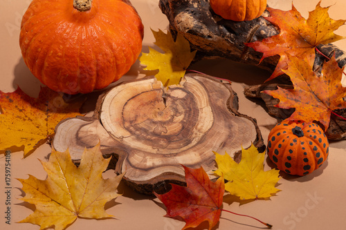 Empty wooden log on table with pumpkin and autumn leaves. Halloween or Thanksgiving display