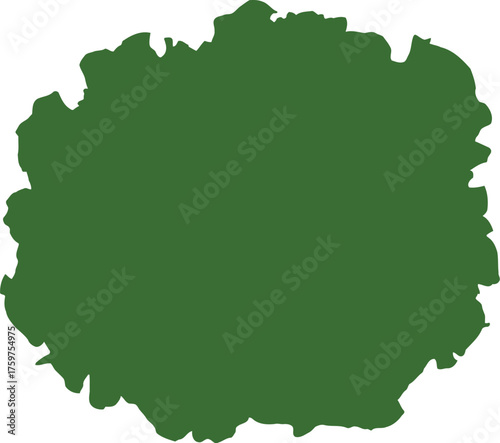 Vibrant green lettuce head isolated on black background detailed leaves vegetable food