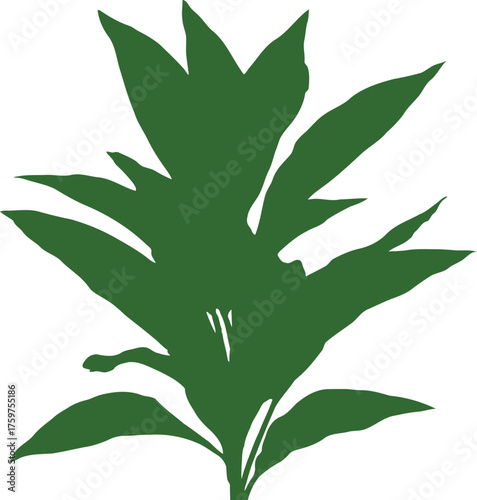 Vibrant green plant with long leaves isolated on black background botanical