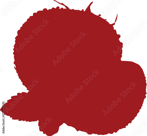 Whole and sliced red tomatoes with water droplets and green mint leaves on black background