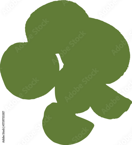 Whole and sliced green kiwis on black background with textured skin fruit