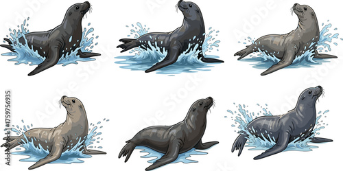 Cartoon sea lion illustration set, playful marine animal artwork collection, ocean wildlife vector design for education, zoo, nature, and aquatic themes