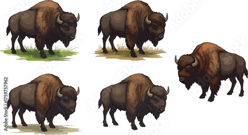 Cartoon American bison illustration, wild buffalo animal art, prairie wildlife drawing, powerful mammal standing on grass for nature and education.