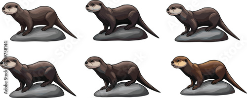 Otter illustration on rock, cute river animal art, wildlife drawing, aquatic mammal artwork, nature design for zoo and habitat scenes.
