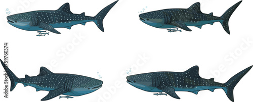 Whale shark swimming underwater illustration, largest fish in the ocean, marine life artwork, sea creature, aquatic wildlife, ocean animal design