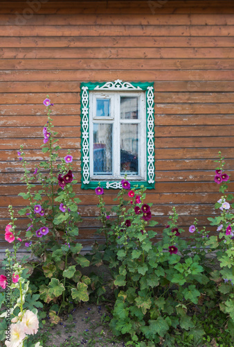 window with flowers in the garden