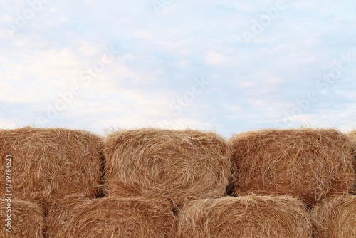 Hay Bales Stacked High Under a Soft Cloudy Sky Suggesting Pastoral Calm and Farm Life