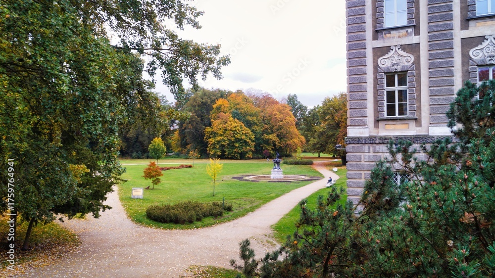 Obraz premium żagań park