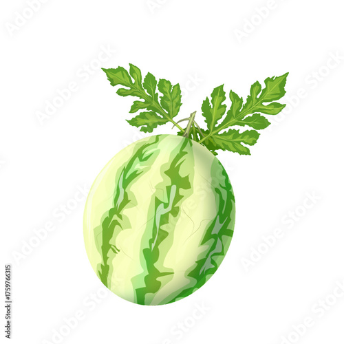 watermelon with leaves without background