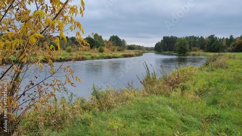 Jesienny las na brzegu rzeki. Drzewa z żółtymi liśćmi
