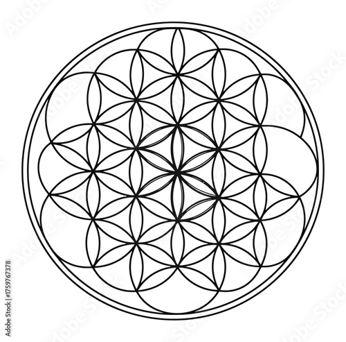 Minimalist Geometric Flower of Life Vector Art - Sacred Geometry Circle Pattern