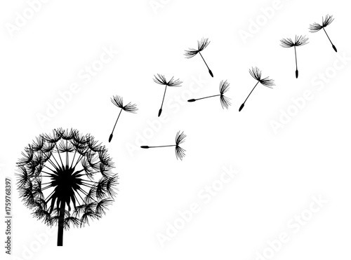 Minimalist Dandelion Seeds Floating Slow Motion Vector Art | Clean White Background