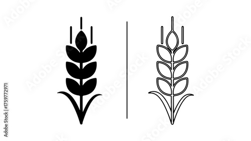 Wheat ears outline with transparent background