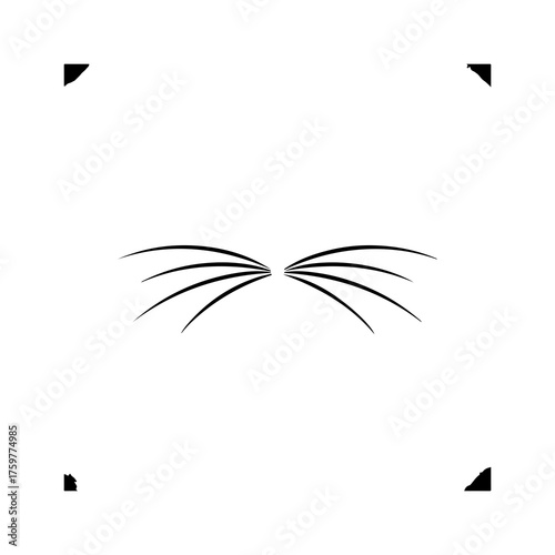 Cat whiskers with transparent background