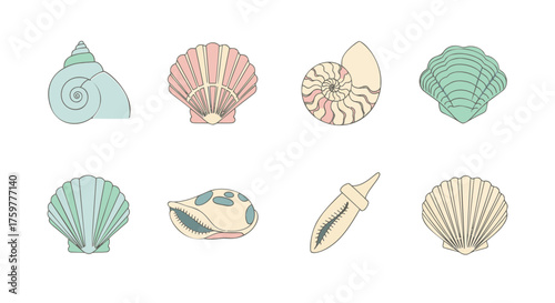 A collection of eight different illustrated seashells in pastel colors on a white background.