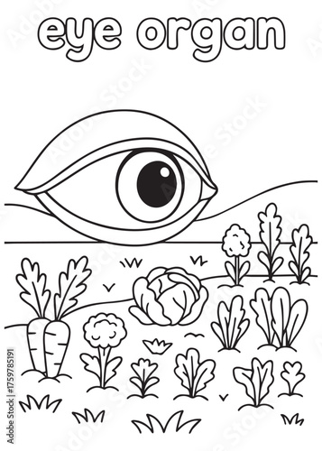 coloring book eye organ with vegetable garden