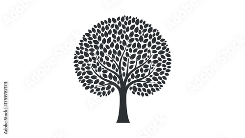  Stylized Black Tree Silhouette Keywords tree, silhouette, black, nature, plant, foliage, leaves