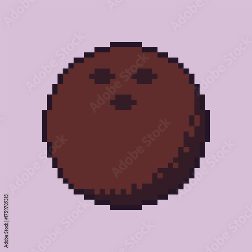 Pixel Illustration of a Coconut