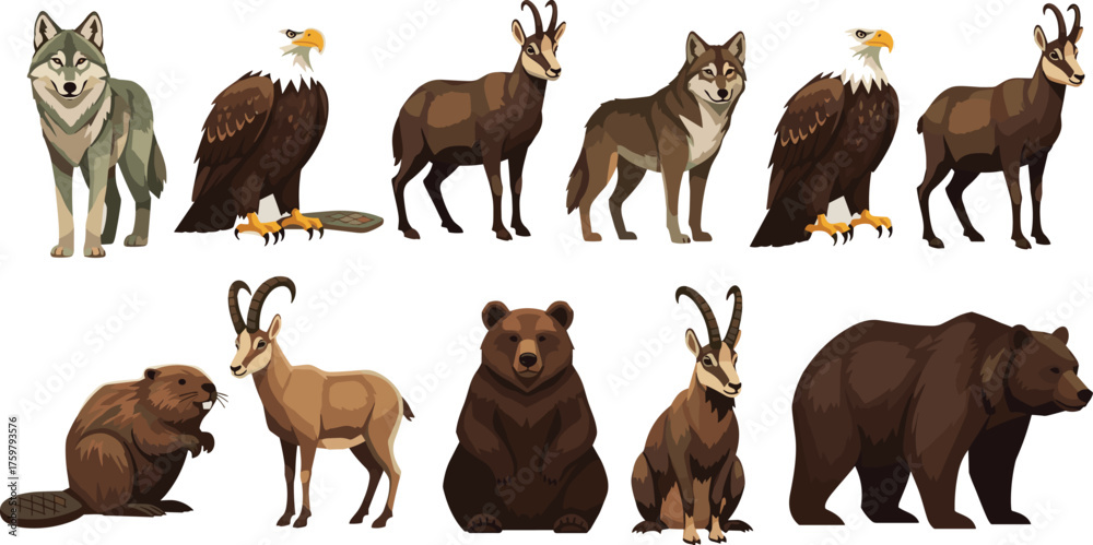 Fototapeta premium North American Wildlife Animals Illustration: Wolves, Eagles, Chamois, Beaver, Bears Cartoon Style for Education, Conservation, Nature Projects, Wildlife, Environment Design, Biology, Ecology, Fauna