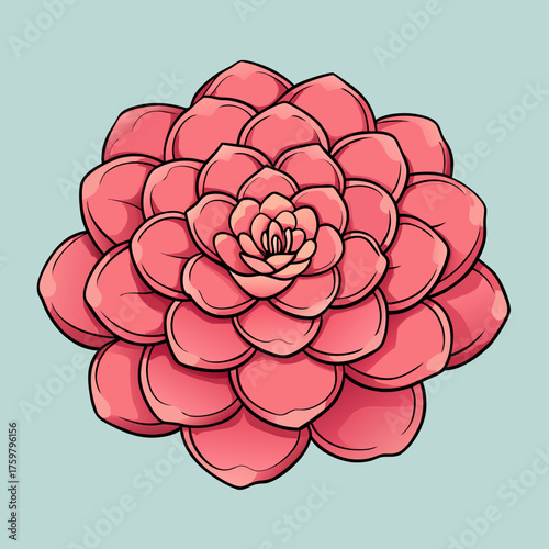 Stylized pink succulent plant illustration