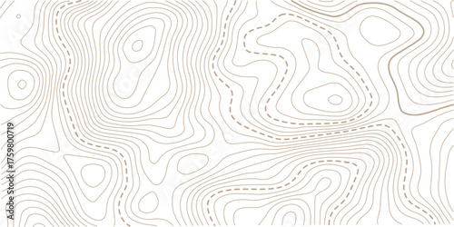 Abstract Topographic Pattern contour line map. Luxury gold abstract line art on transparent background image.Modern design with White background with topographic wavy pattern design.