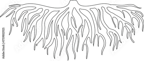 Coloring page with root isolated on white background	