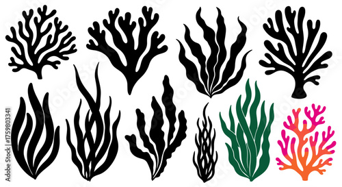Vibrant Seaweed and Coral Reef Silhouette Set: Marine Botany, Ocean Flora, Underwater Ecosystems, Algae Variety, Tropical Aquatic Plants, Minimalist Graphic Design for Branding, Eco-Conscious Art, Bio