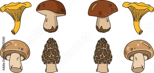 Edible Mushrooms Assortment Illustration: Foraging Funghi, Chanterelle, Bolete, Morel, Champignon Selection, Gourmet Food Design Element, Forest Harvest, Woodland Variety, Culinary Ingredient,  Health