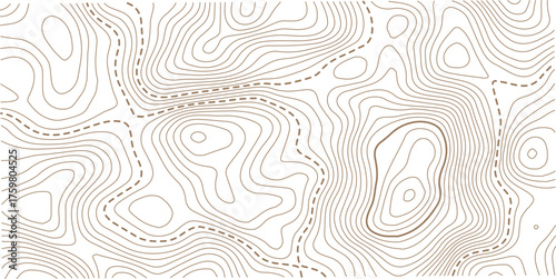 Abstract Topographic Pattern contour line map. Luxury gold abstract line art on transparent background image.Modern design with White background with topographic wavy pattern design.