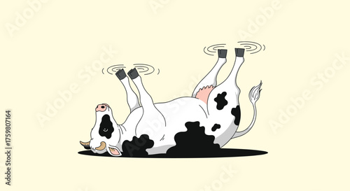 A playful black and white cow is rolling around happily.