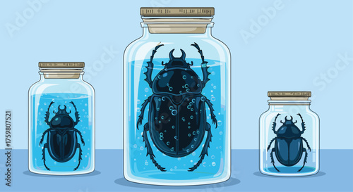 Giant beetles preserved in glass jars with blue liquid.