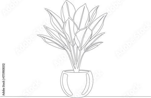 Elegant single line drawing of a potted snake plant indoors