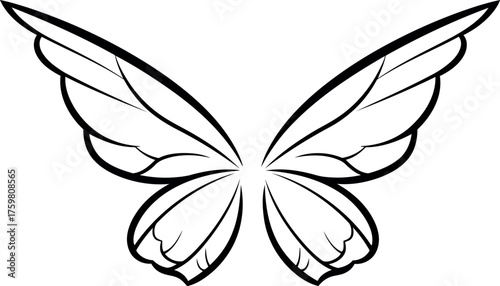 Delicate outline of fairy wings on a white background