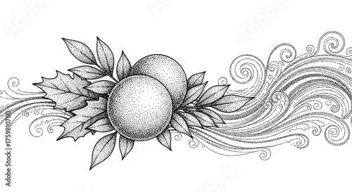 Detailed Hand Drawn Botanical Illustration with Spheres and Foliage.