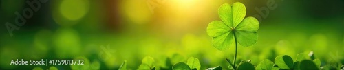 A four-leaf clover basking in sunlight, symbolizing serendipity and unexpected fortune  A vibrant image representing divine intervention and blessed chance ,  luck,  hope