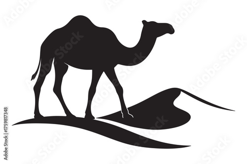 camel on the beach