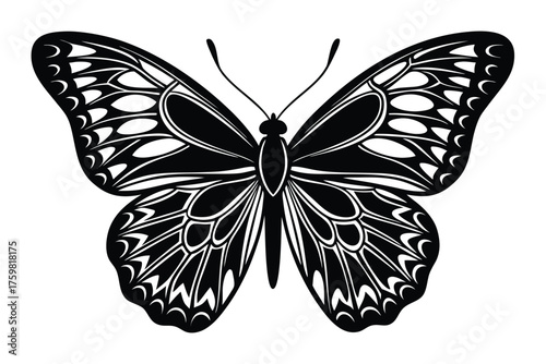 Butterfly silhouette vector image