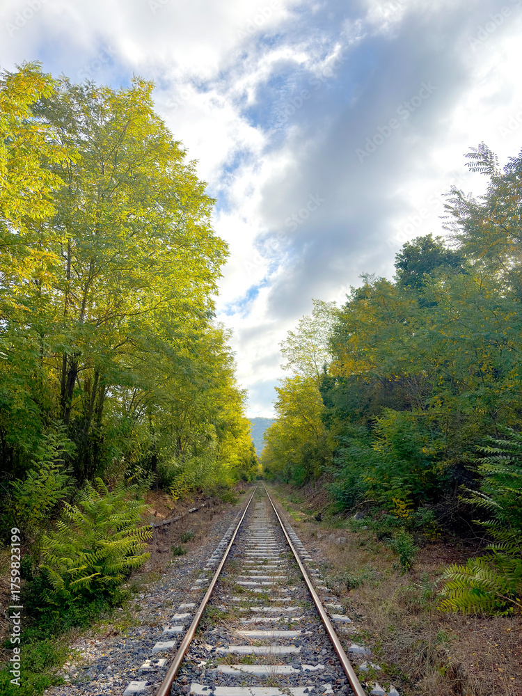 Fototapeta premium An old stretch of railway, framed by lush trees and a partly cloudy sky. Sunlight filters through the leaves, creating a calm and contemplative atmosphere.