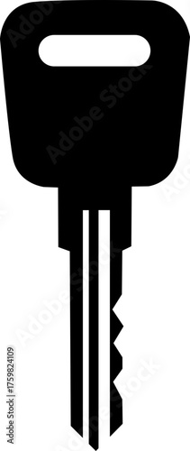 vector illustration of a key