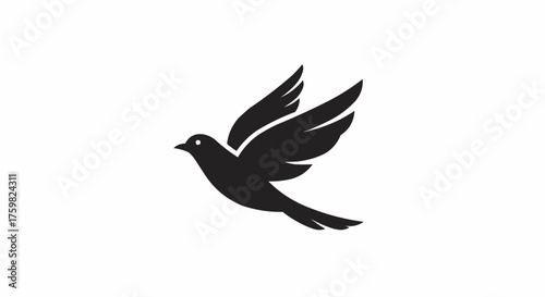 Silhouette illustration of a bird in flight with wings outstretched against a white background image