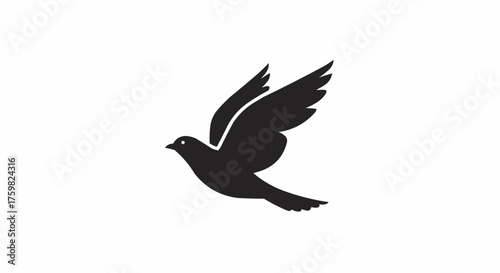 Silhouette of a bird in flight with its wings partially spread against a white background image art