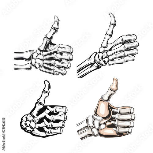 Collection of skeletal hands giving a thumbs up gesture, depicted in various artistic styles, illustrating human anatomy.