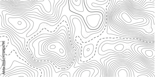 Seamless Light topographic topo contour map background, vector illustration .White wave paper curved reliefs abstract background. Vector illustration.. Design illustration for wall art, fabric.
