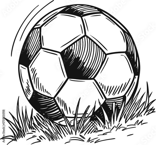 Black and White Football Resting on Grassy Surface A Hand-Drawn Illustration