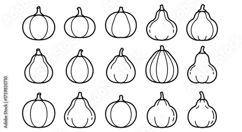 Outline Drawing of Various Pumpkin and Gourd Shapes.