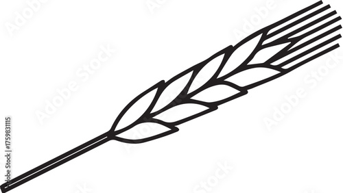 black and white feather