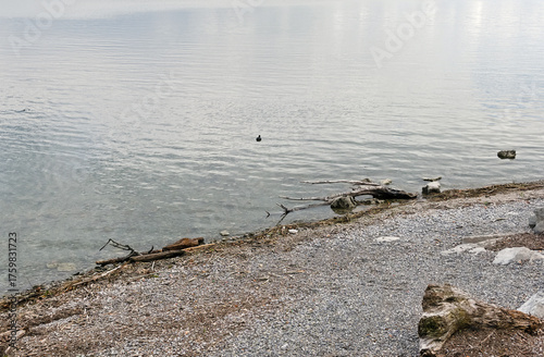 the calm shore of the lake embankment on a leaden day