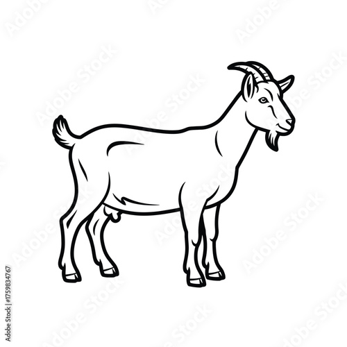 Black and white line drawing of a standing goat